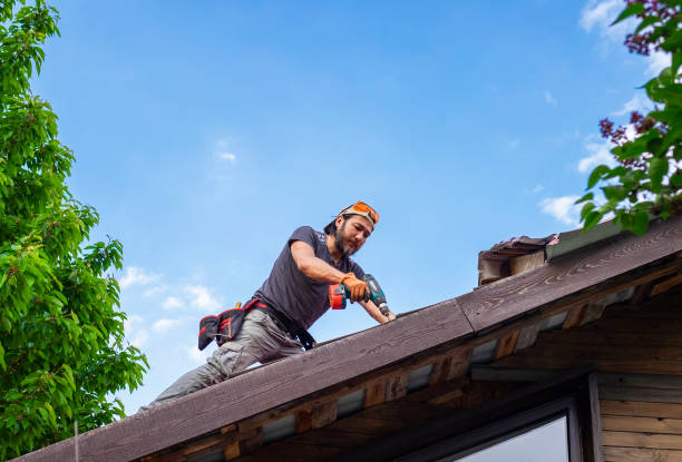 Best Roof Maintenance and Cleaning  in Lakewood, OH